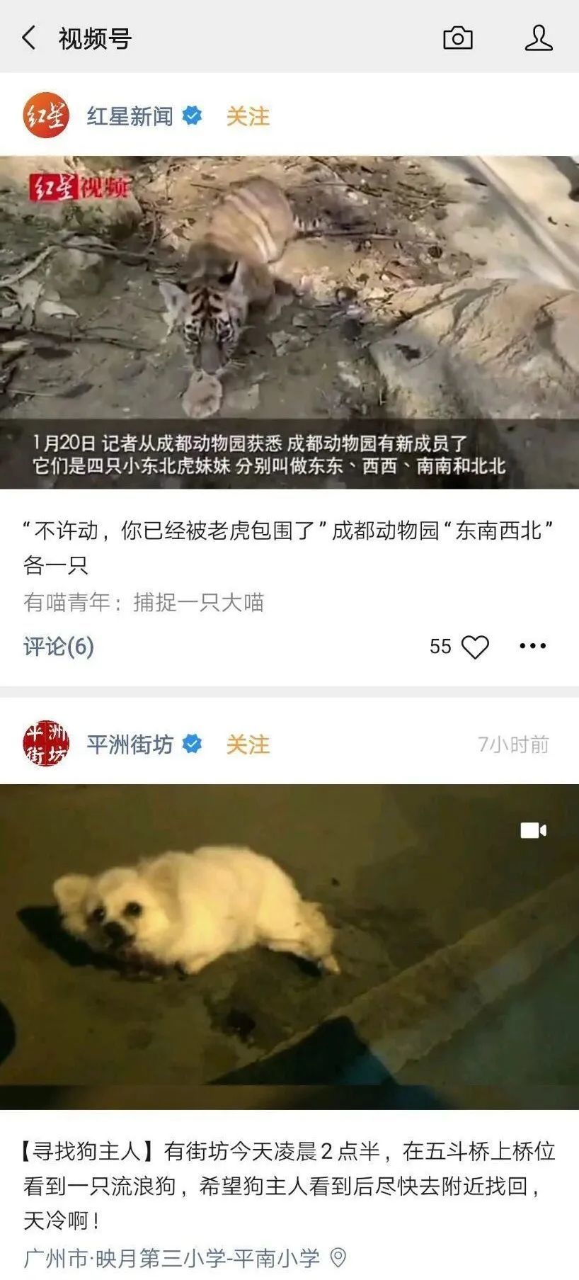 从视频号看内容分发的底层逻辑 从视频号看内容分发的底层逻辑